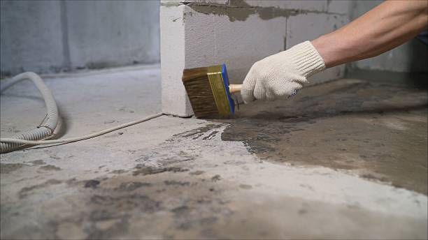 24/7 Emergency Basement Waterproofing experts in Brookwood, AL